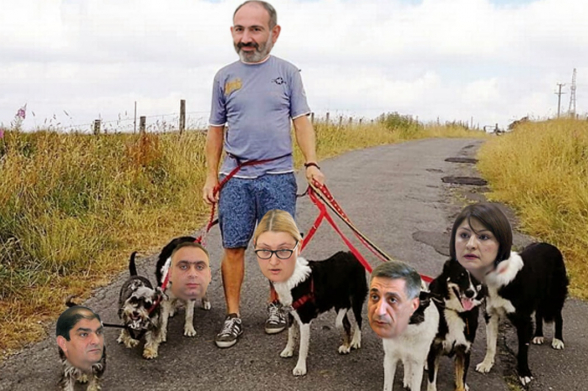 От полоумной до «судьи их сердца» – одна «бархатная» революция – 7orTV